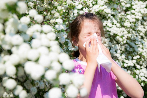 earlier allergies this seaso