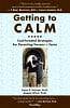 Getting to Calm: Cool-Headed Strategies for Parenting Tweens + Teens